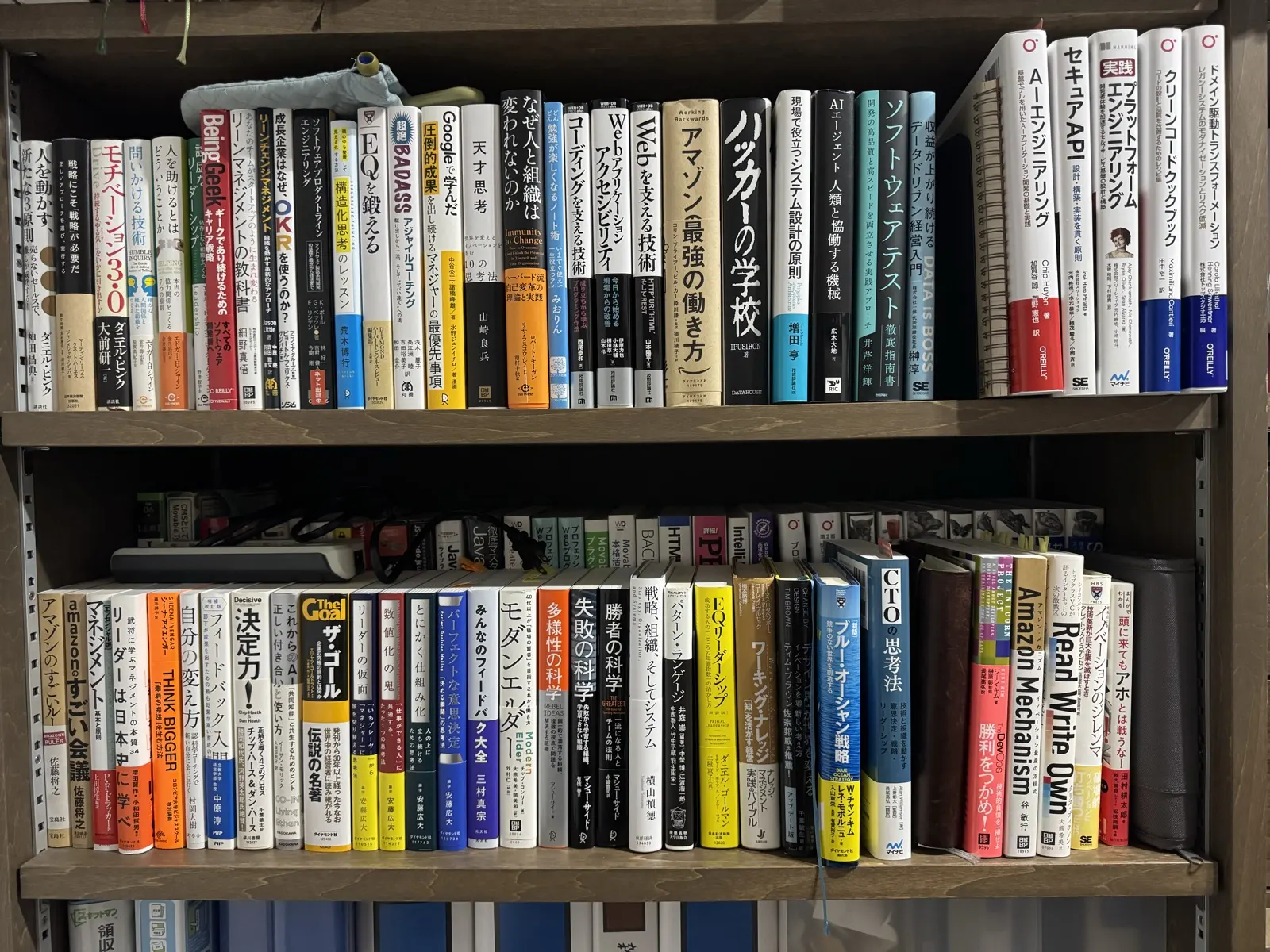 書斎の本棚。上下2段に技術書とビジネス書が並んでいる